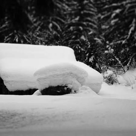 Apartment Chinook,La Praz,Chamonix Mont Blanc Exterior photo