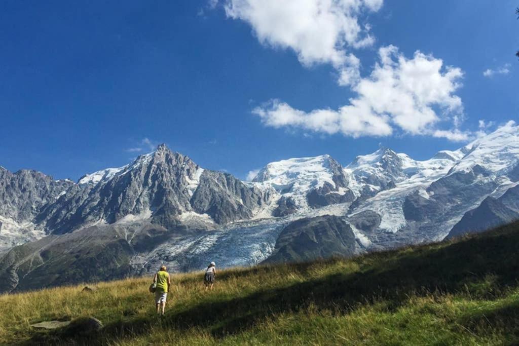 Chinook,la Praz,chamonix Mont Blanc * Chamonix